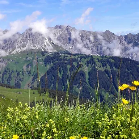 아파트 Aktiv-ferienwohnungen Montafon *